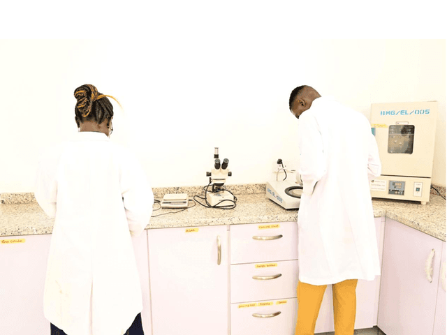 Analytical Laboratory 2