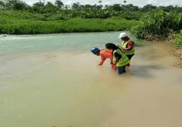 Environmental Consultancy 1