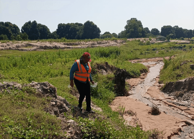 Environmental Consultancy 2